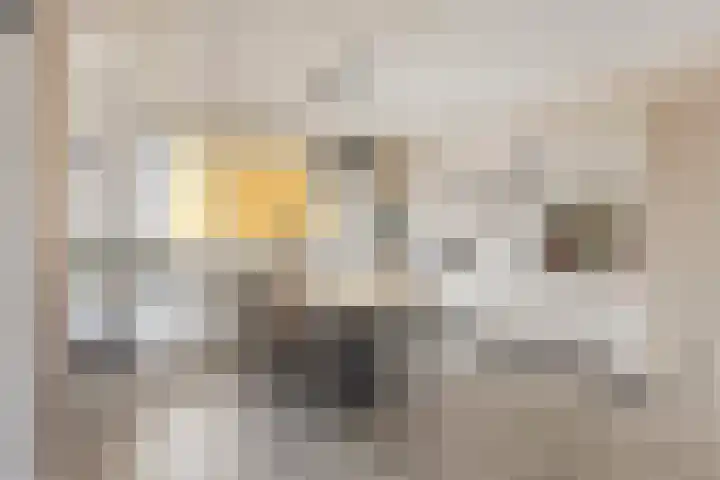 de Koppele 445 Eindhoven thumbnail 19