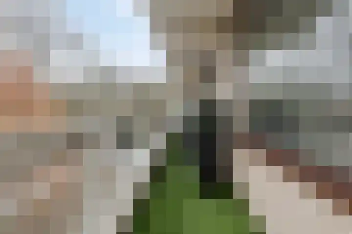de Koppele 445 Eindhoven thumbnail 21