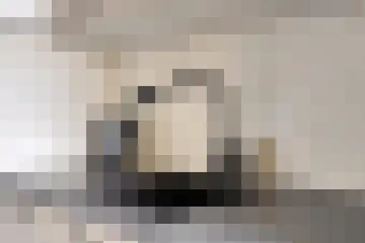 de Koppele 445 Eindhoven thumbnail 23