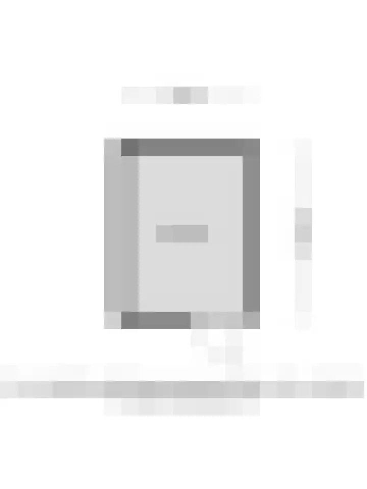 de Koppele 445 Eindhoven thumbnail 39