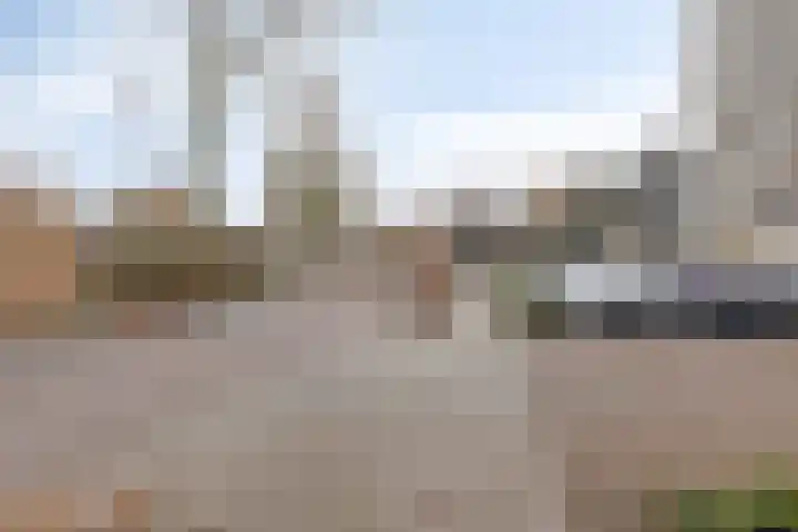 de Koppele 445 Eindhoven thumbnail 6