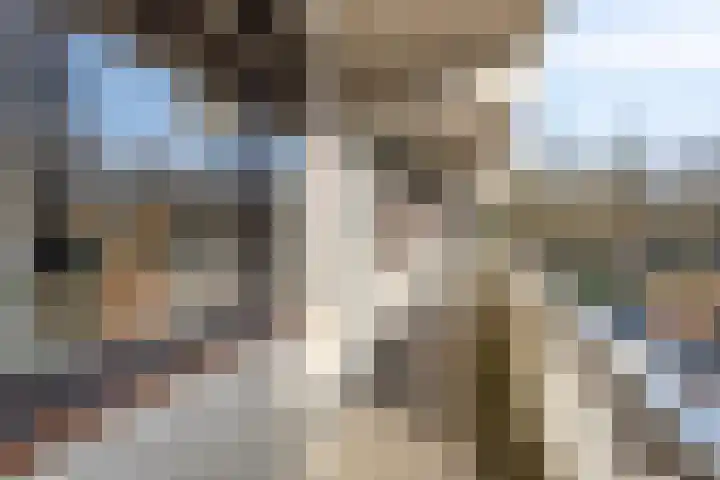 de Koppele 45 Eindhoven thumbnail 11