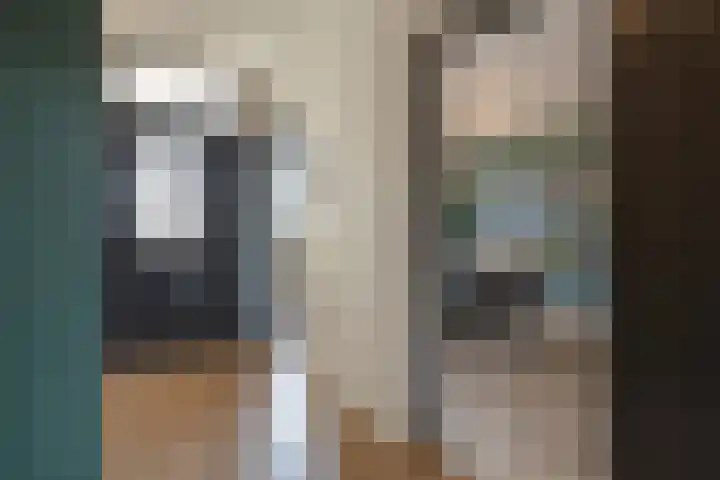 de Koppele 45 Eindhoven thumbnail 13