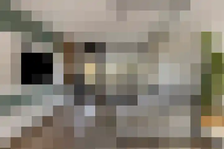 de Koppele 45 Eindhoven thumbnail 16