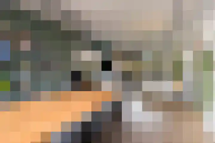 de Koppele 45 Eindhoven thumbnail 19