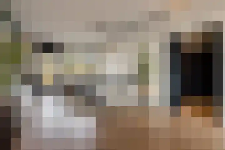 de Koppele 45 Eindhoven foto 2