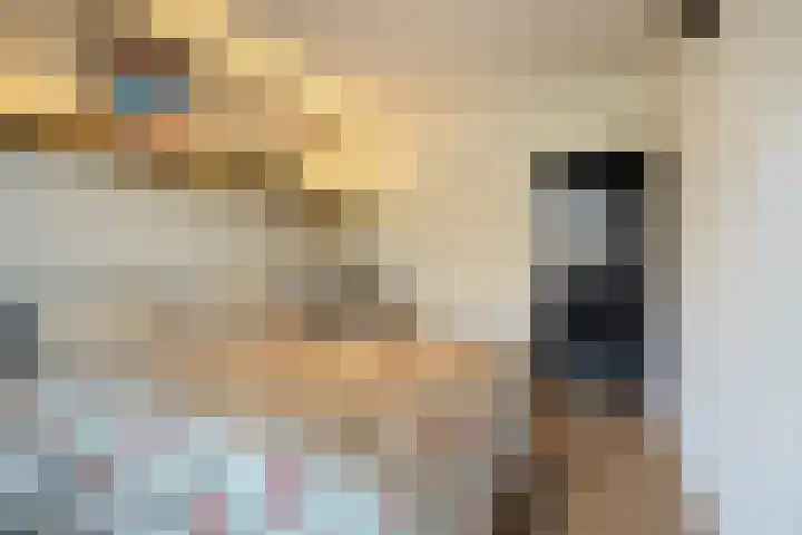 de Koppele 45 Eindhoven thumbnail 25