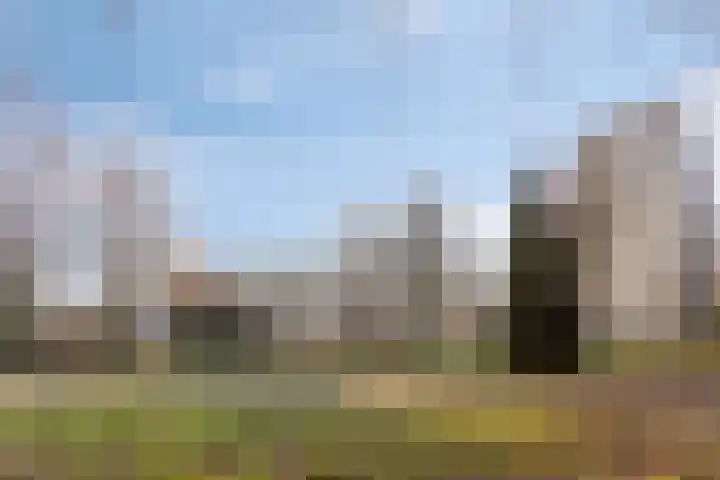 de Koppele 45 Eindhoven thumbnail 26