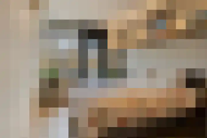 de Koppele 45 Eindhoven thumbnail 6