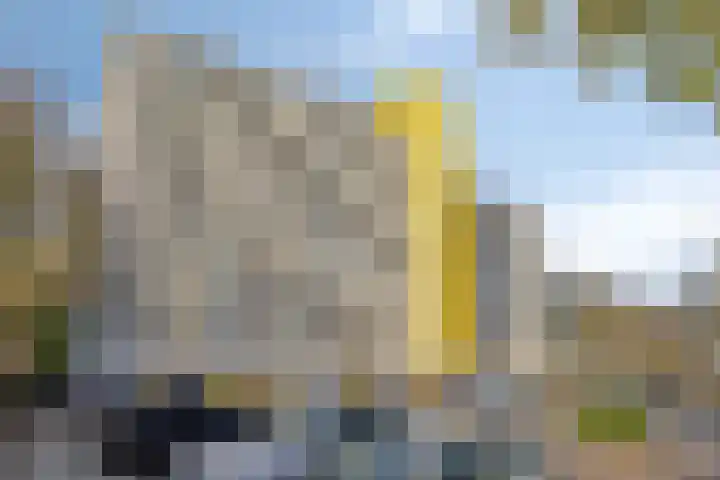 de Koppele 473 Eindhoven thumbnail 36