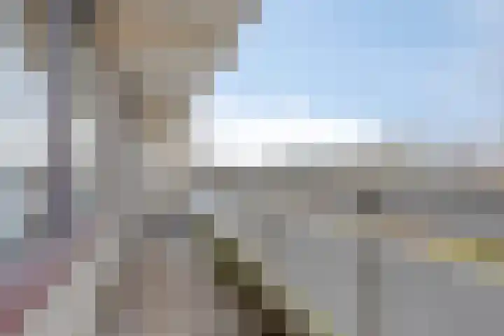 de Koppele 473 Eindhoven thumbnail 4