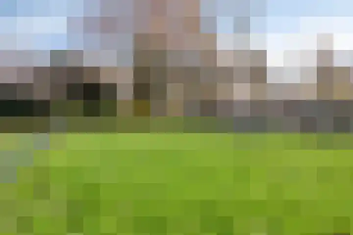 de Koppele 473 Eindhoven thumbnail 40