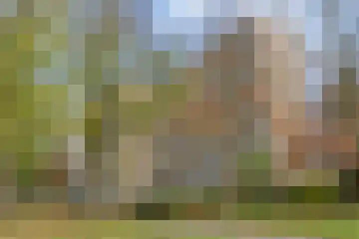 de Koppele 473 Eindhoven thumbnail 41