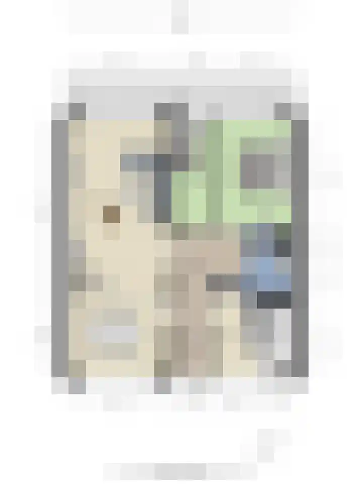 de Koppele 473 Eindhoven thumbnail 42