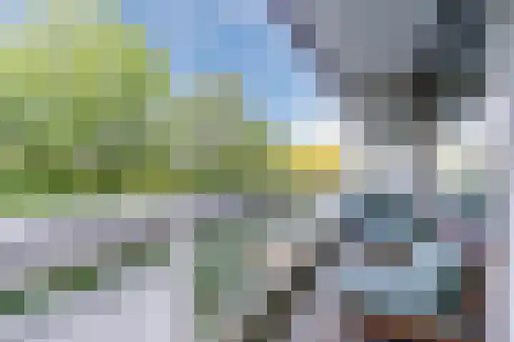 de Koppele 479 Eindhoven thumbnail 20