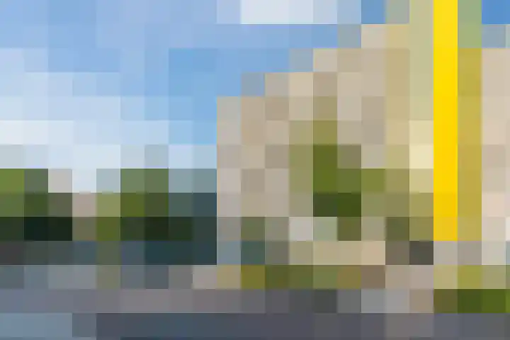 de Koppele 479 Eindhoven thumbnail 4