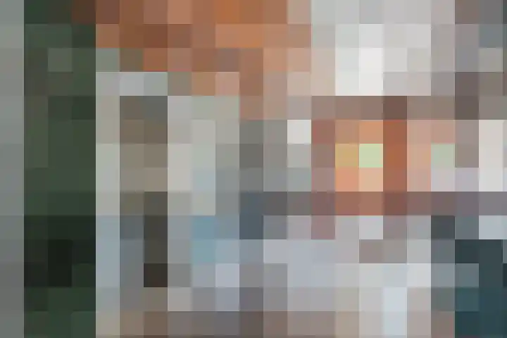 de Koppele 479 Eindhoven thumbnail 6