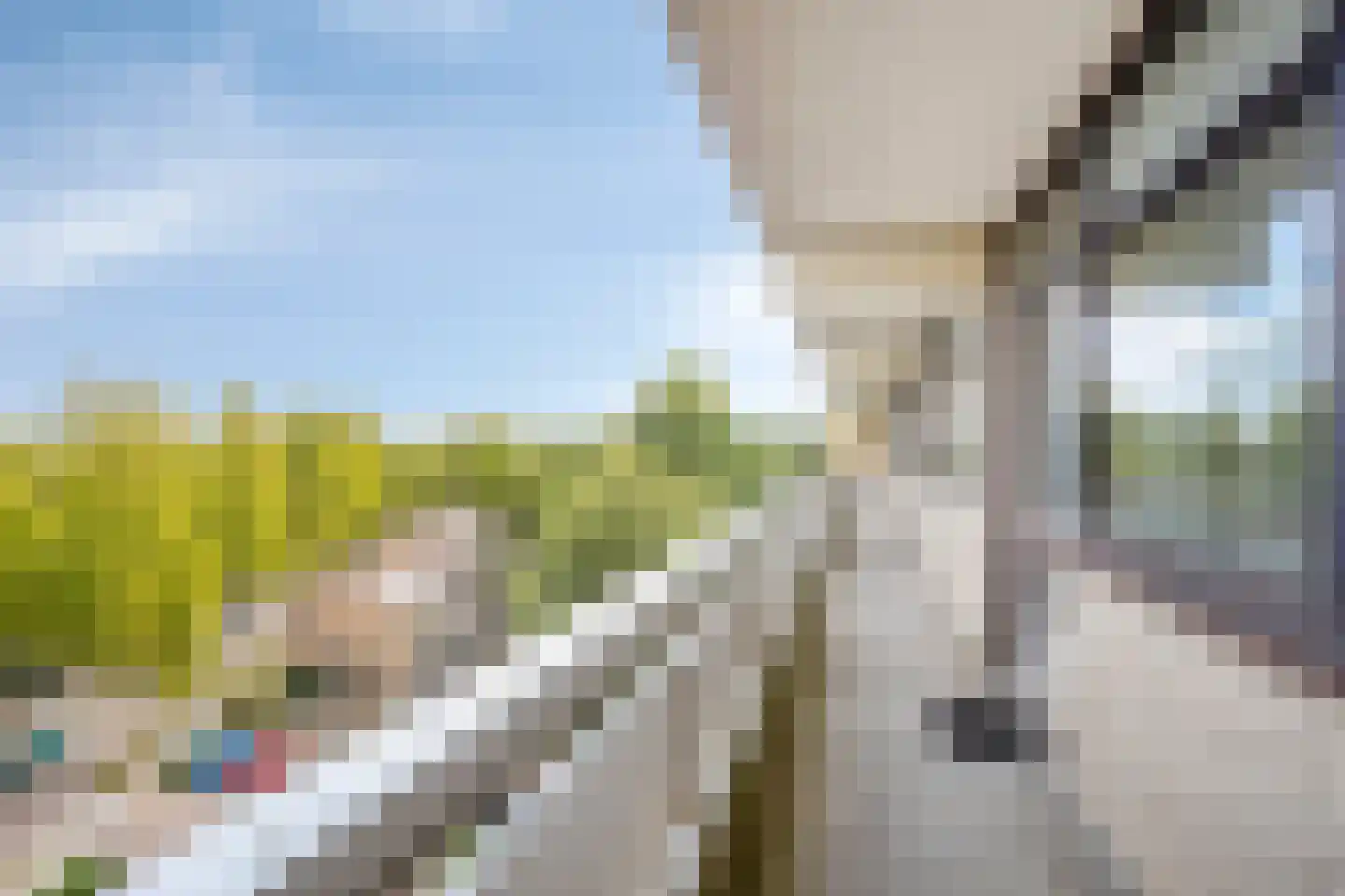 de Koppele 495 Eindhoven thumbnail 10