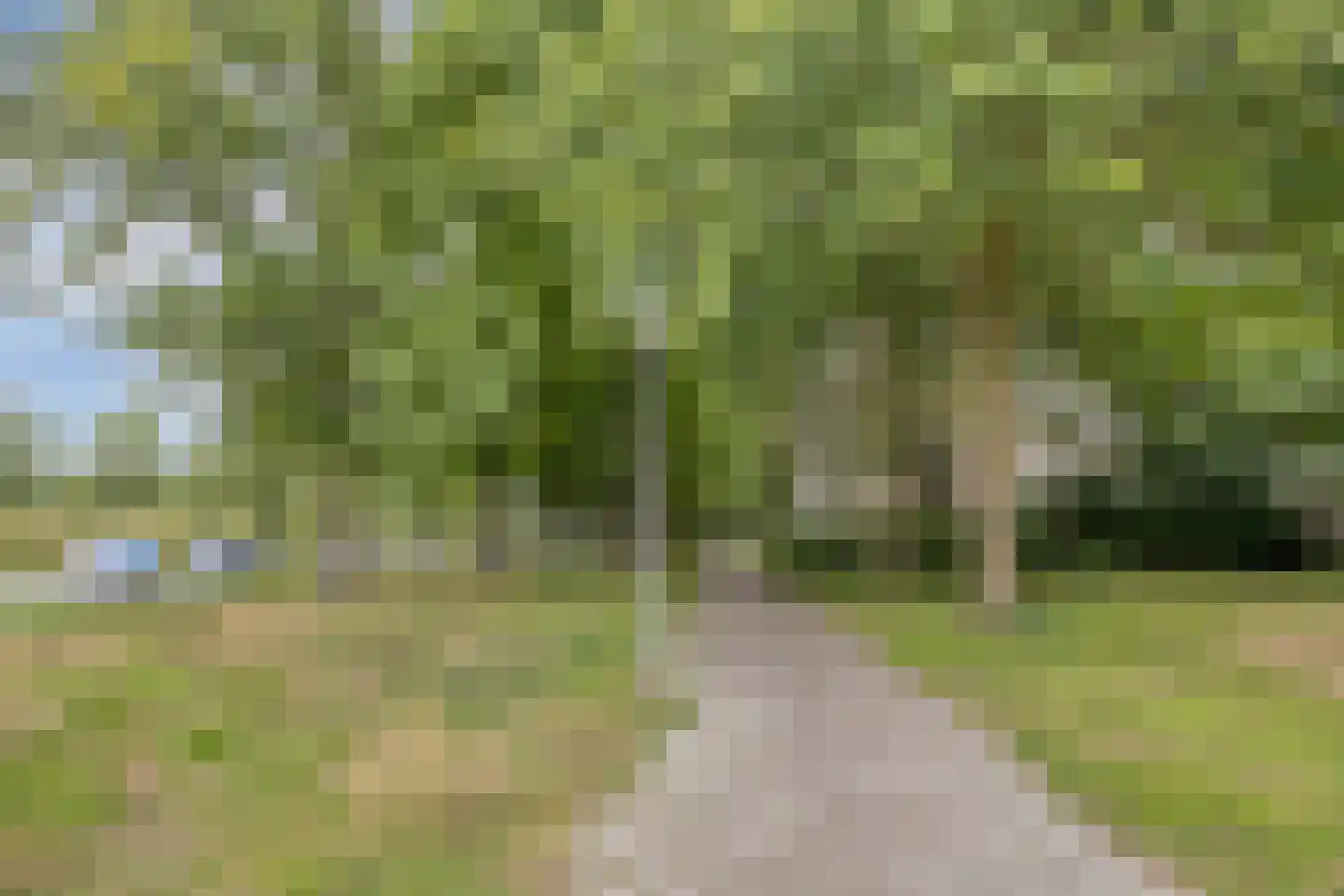 de Koppele 495 Eindhoven thumbnail 28