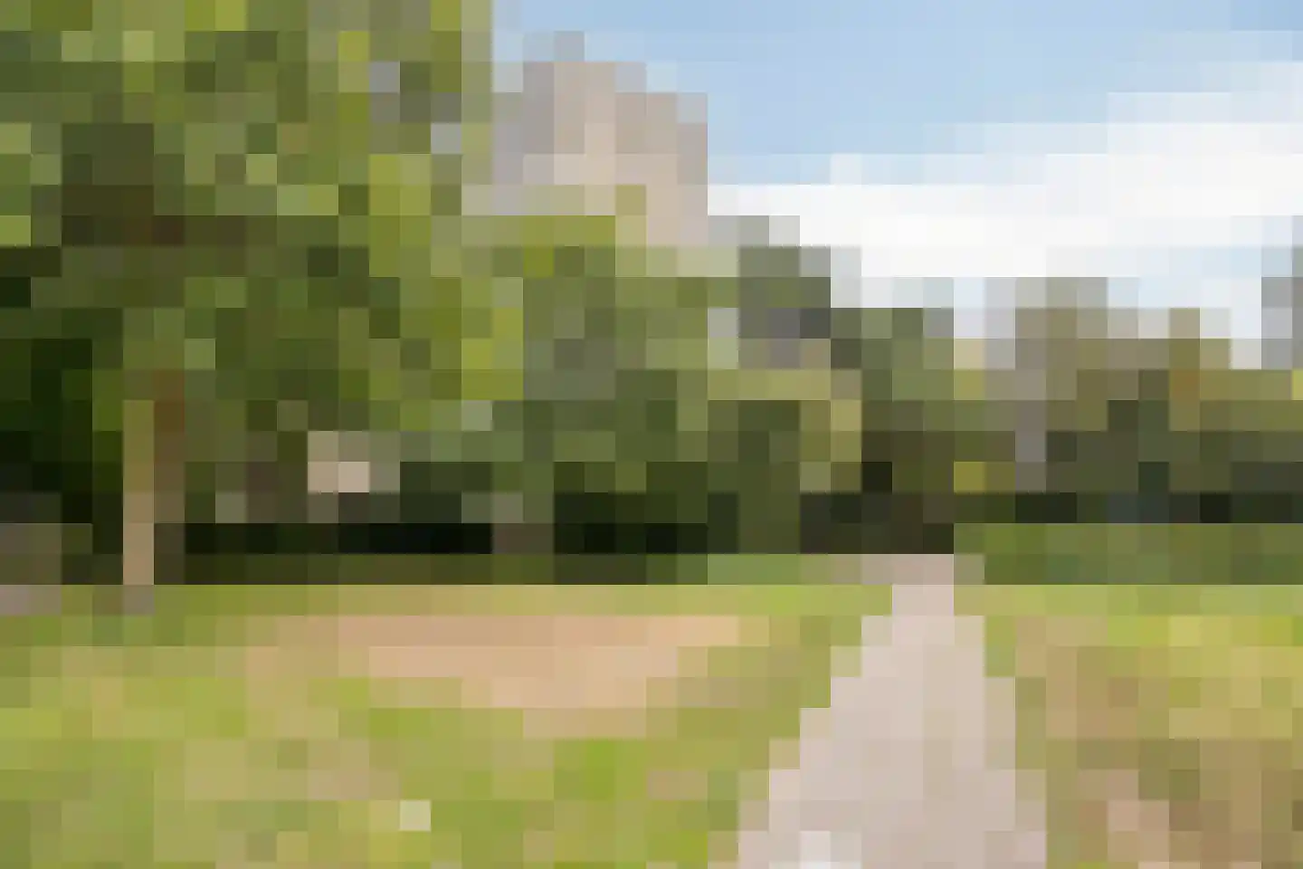 de Koppele 495 Eindhoven thumbnail 29