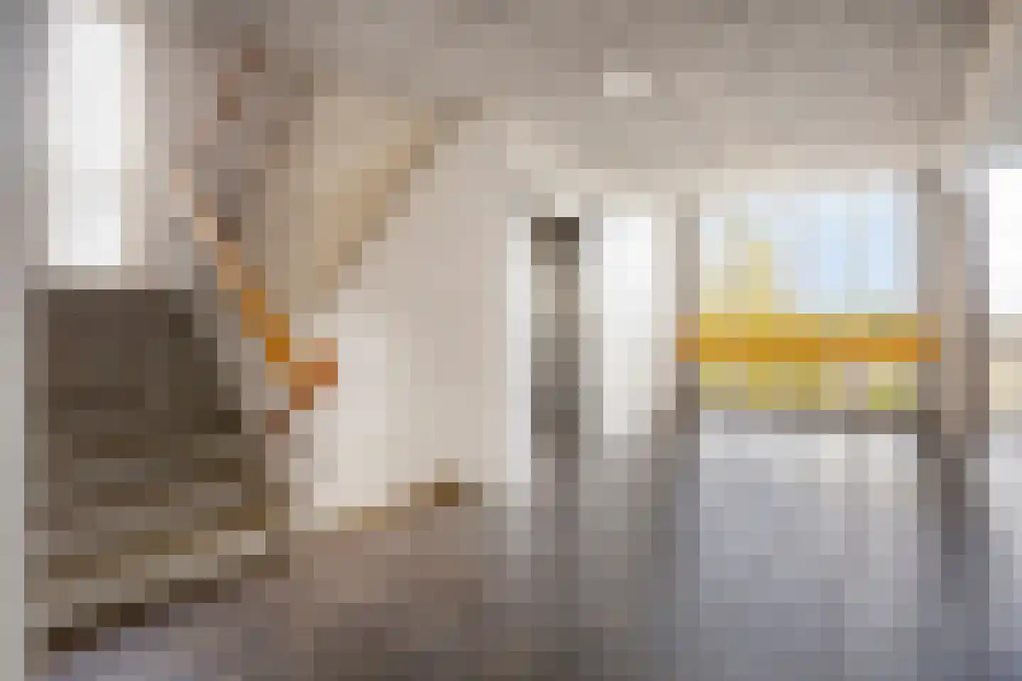 de Koppele 495 Eindhoven thumbnail 9