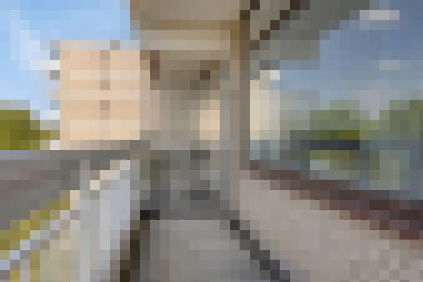 de Koppele 507 Eindhoven thumbnail 16