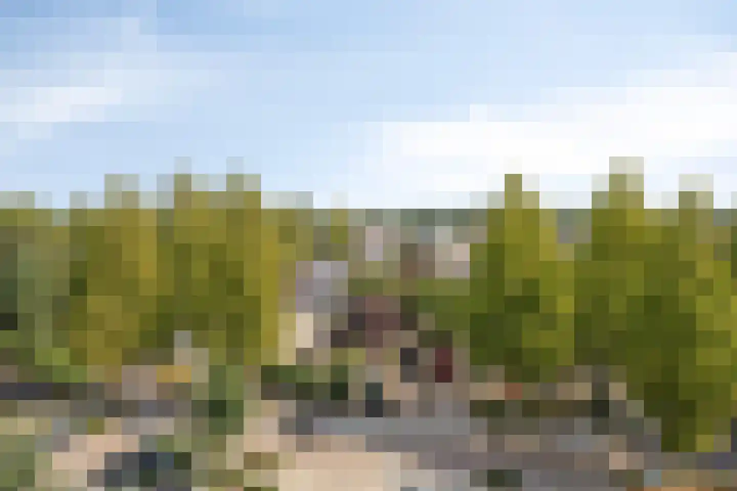 de Koppele 507 Eindhoven thumbnail 36