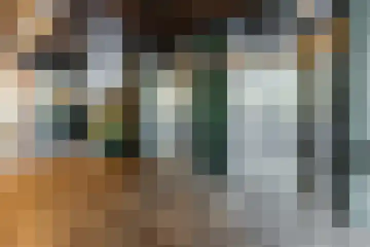 de Koppele 521 Eindhoven thumbnail 10