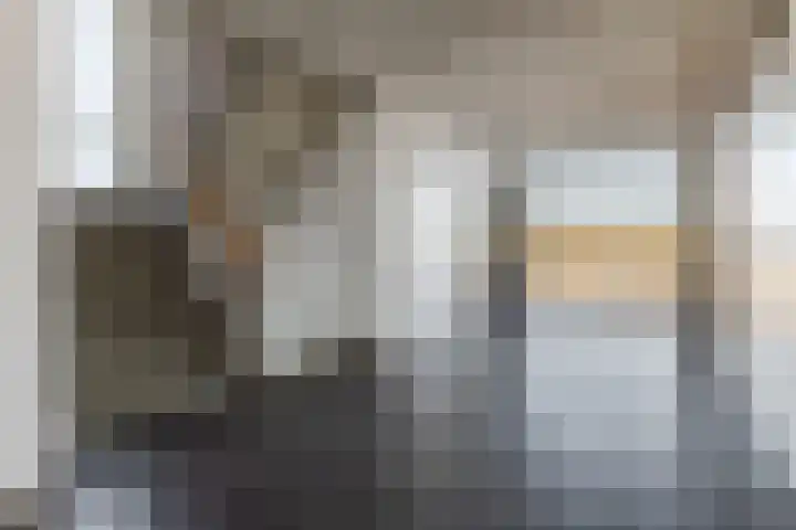 de Koppele 521 Eindhoven thumbnail 11
