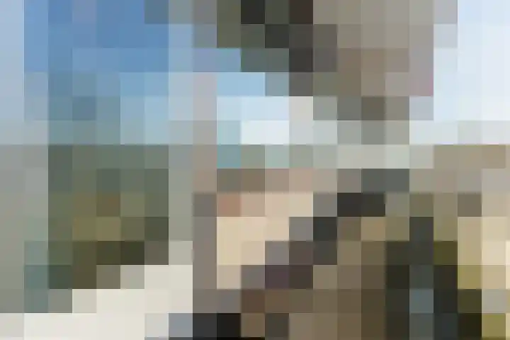 de Koppele 521 Eindhoven thumbnail 35
