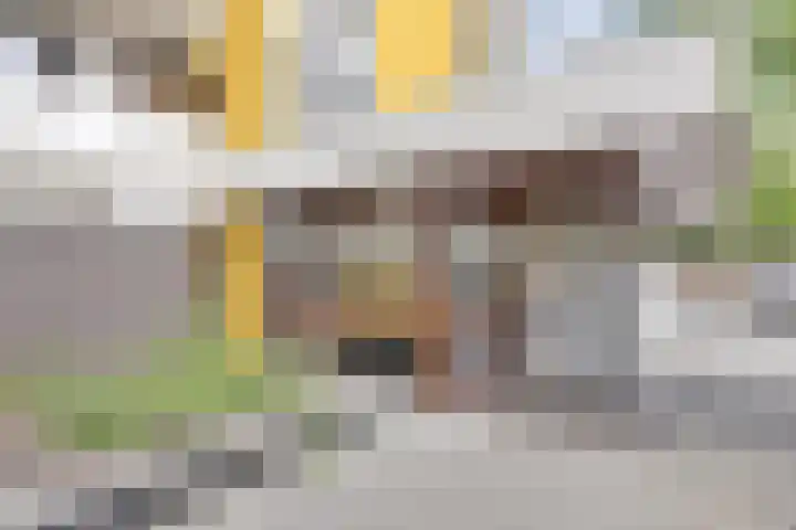 de Koppele 521 Eindhoven thumbnail 6