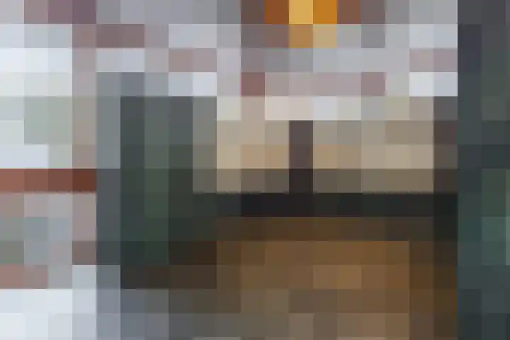 de Koppele 521 Eindhoven thumbnail 8