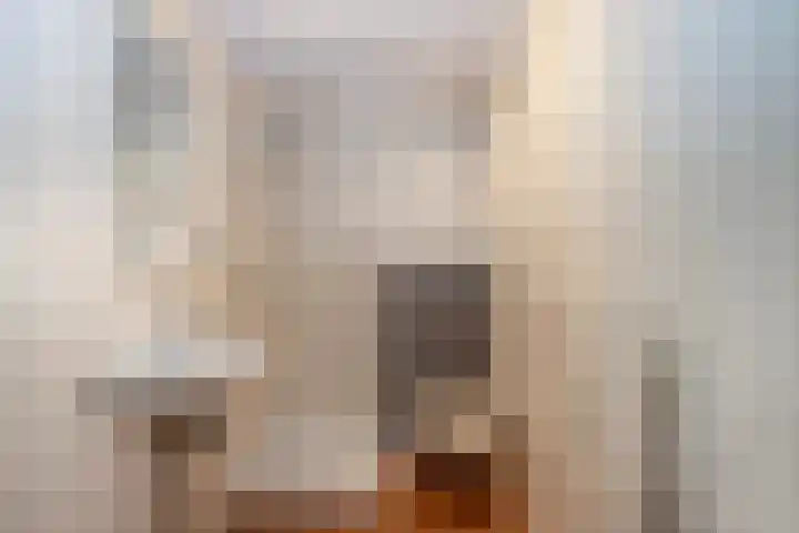 de Koppele 525 Eindhoven thumbnail 10