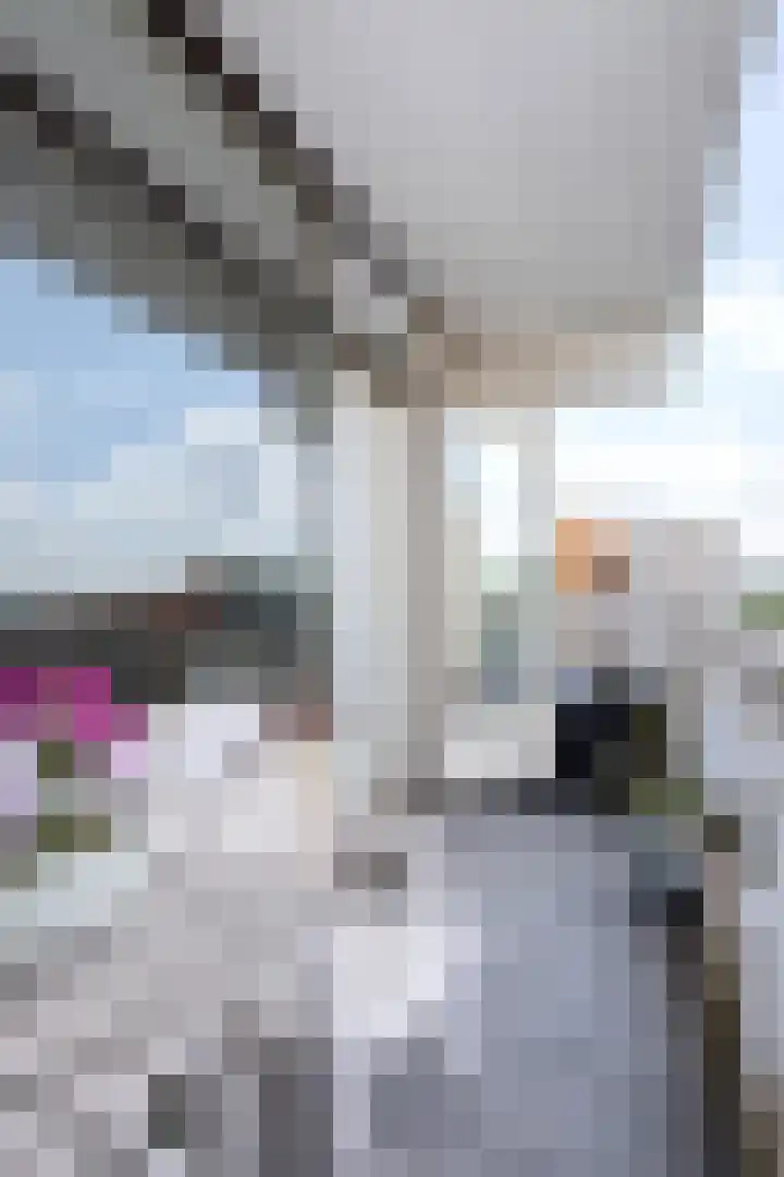 de Koppele 525 Eindhoven thumbnail 18