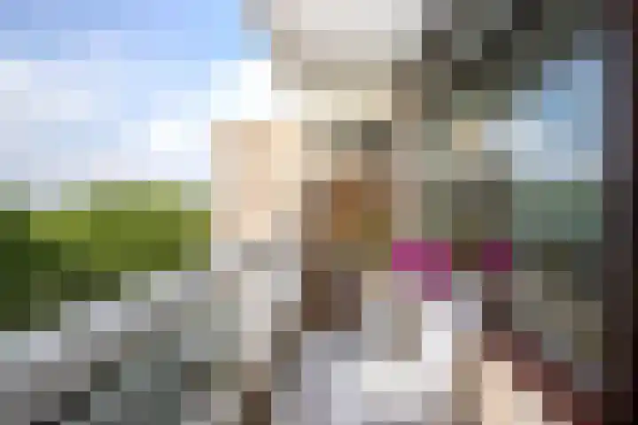 de Koppele 525 Eindhoven thumbnail 19