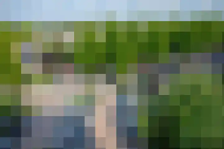 de Koppele 525 Eindhoven thumbnail 20