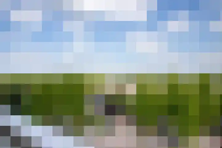 de Koppele 525 Eindhoven thumbnail 21