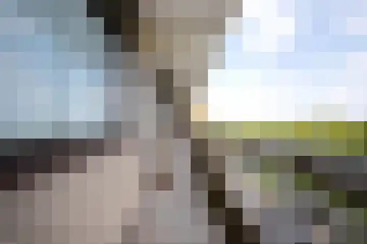 de Koppele 525 Eindhoven thumbnail 6
