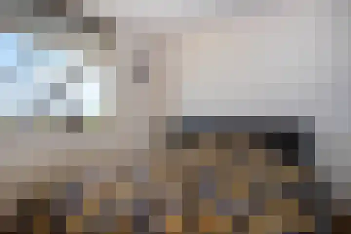 de Koppele 525 Eindhoven thumbnail 8