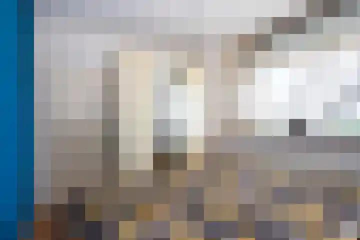 de Koppele 525 Eindhoven thumbnail 9