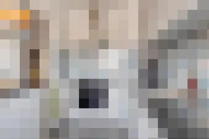 de Koppele 53 Eindhoven thumbnail 17