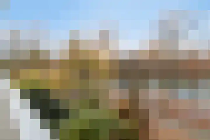 de Koppele 53 Eindhoven thumbnail 29
