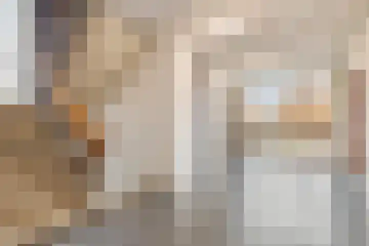 de Koppele 53 Eindhoven thumbnail 5