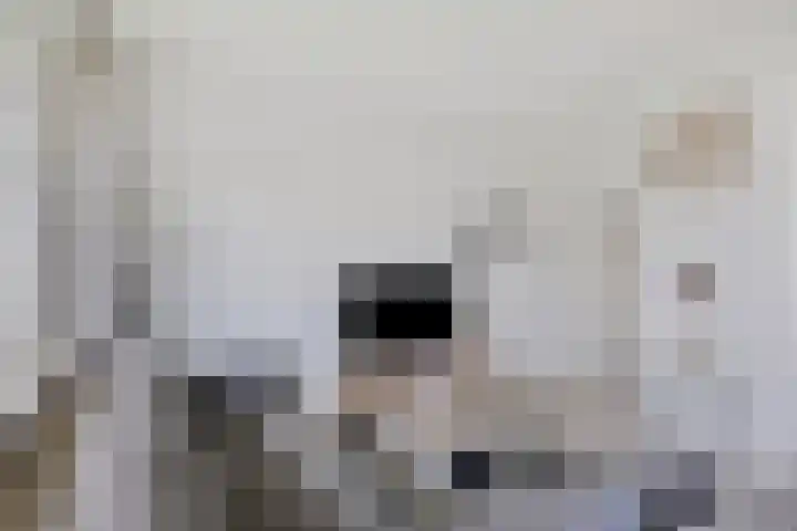de Koppele 543 Eindhoven thumbnail 13