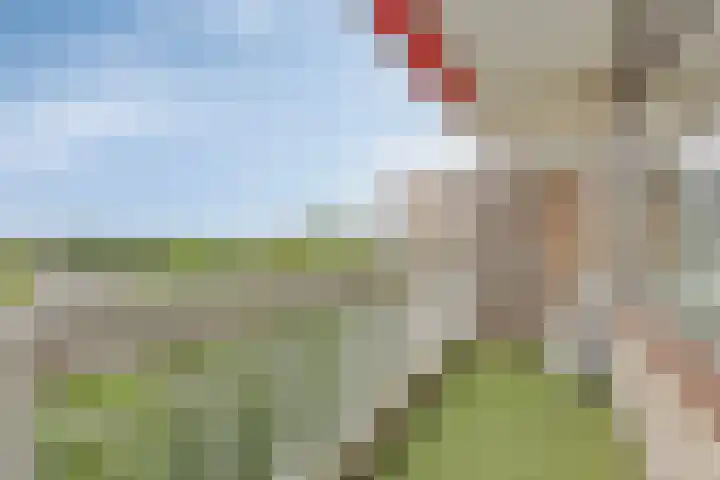 de Koppele 543 Eindhoven thumbnail 15