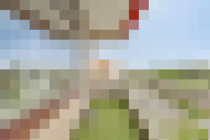 de Koppele 543 Eindhoven thumbnail 16