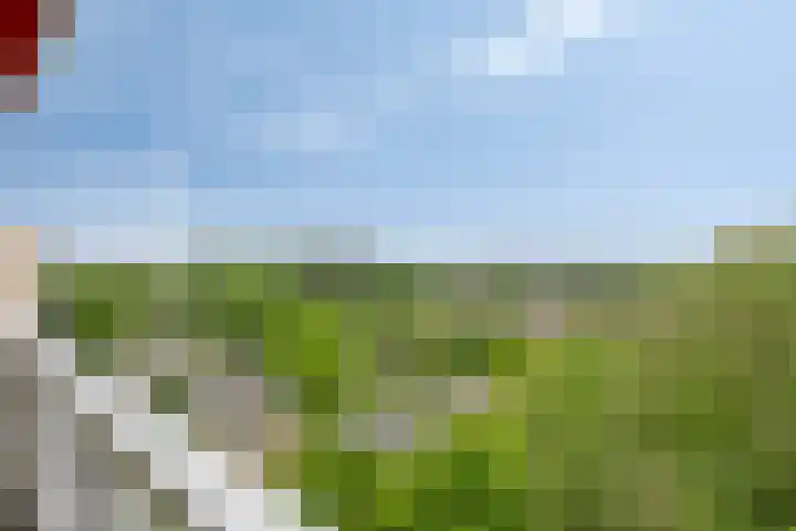 de Koppele 543 Eindhoven thumbnail 17