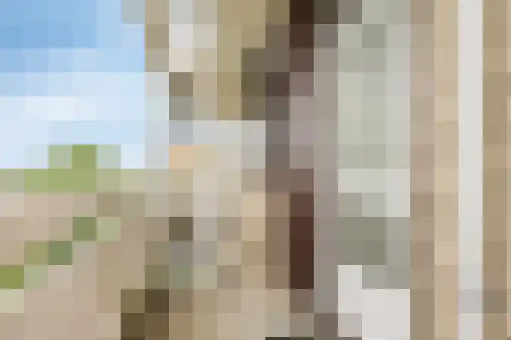 de Koppele 543 Eindhoven thumbnail 7