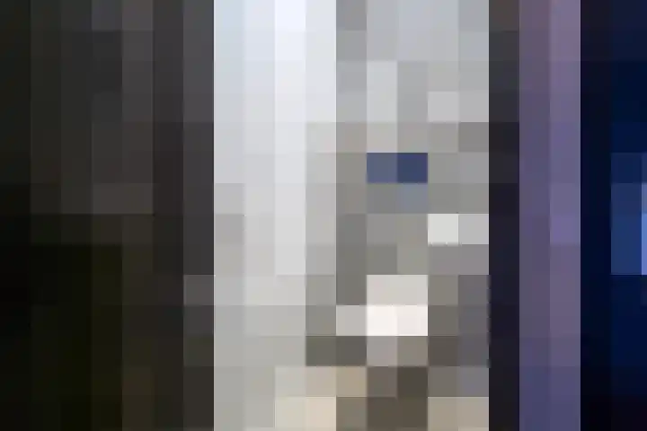 de Koppele 545 Eindhoven thumbnail 14