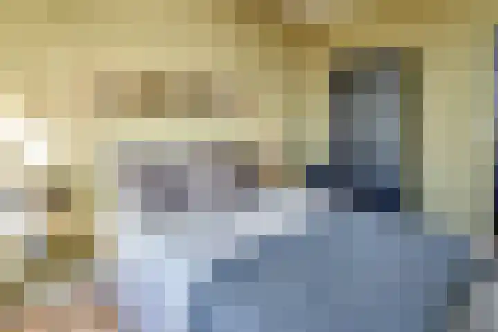 de Koppele 545 Eindhoven thumbnail 4